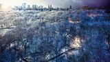 Central Park, New York City