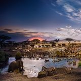 Serengeti National Park, Tansania