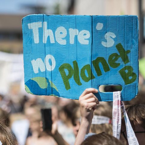 Fridays for Future Bußgeld