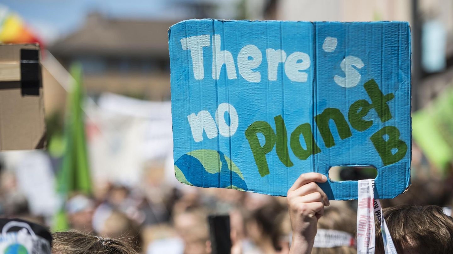 Fridays for Future Bußgeld