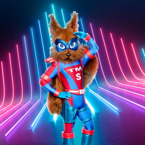 The Masked Singer