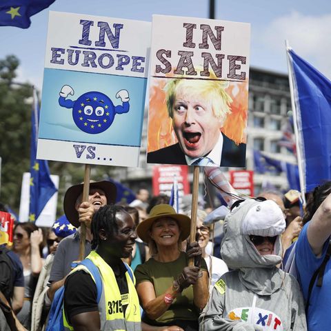 Teilnehmer der Demonstration gegen Boris Johnson am Samstag in London