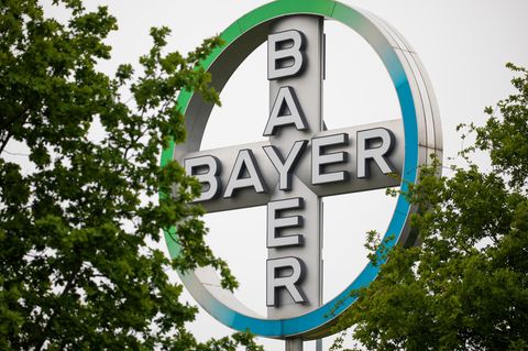 Iberogast ist einer der Verkaufsschlager von Pharmariese Bayer