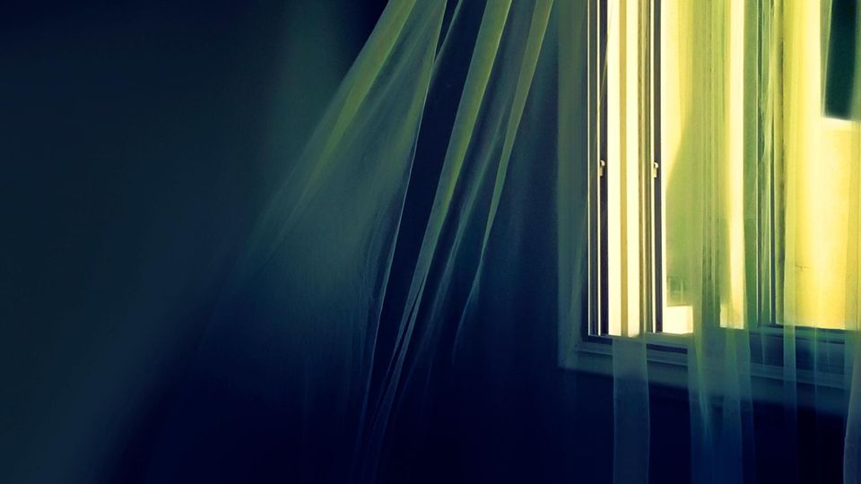 Fenster