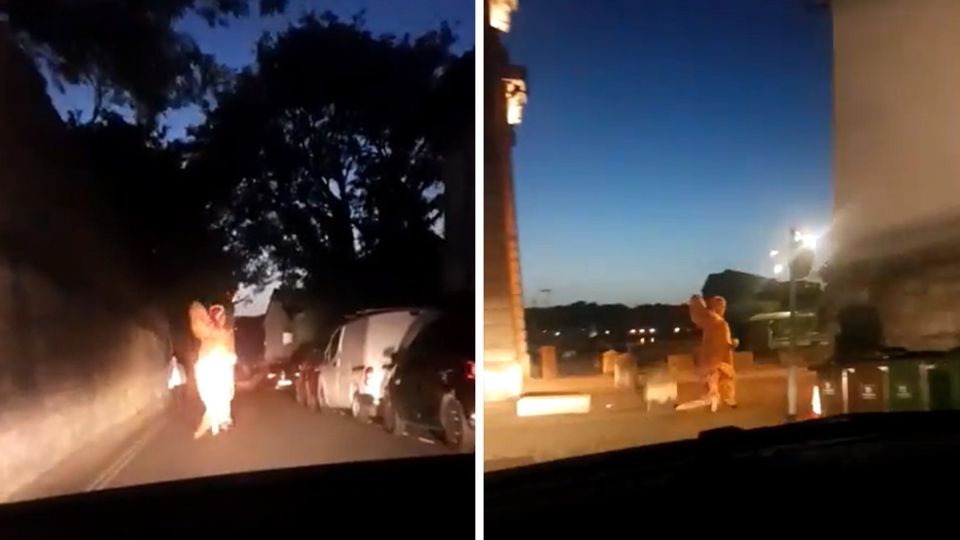 T-Rex läuft vor Polizei weg – und die Beamten finden's lustig T-Rex läuft vor Polizei weg – und die Beamten finden's lustig