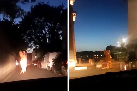 T-Rex läuft vor Polizei weg – und die Beamten finden's lustig