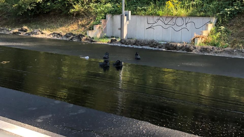 Die Schuhe mussten die Beamten in der klebrigen Teermasse zurücklassen 