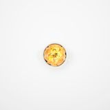 Insekten: Wie wär's mit einer kulinarischen Mutprobe? Zum Beispiel Frühlingsrolle mit Heuschrecke