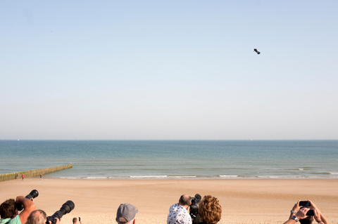 Franky Zapata mit seinem "Flyboard Air"