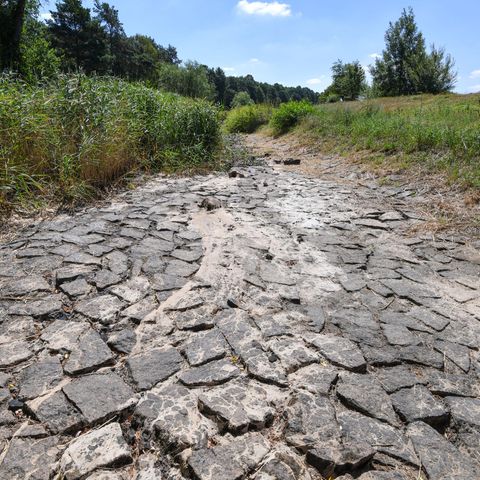 Studie der Uni Bern - Kein Klimawandel der letzten 2000 Jajhre war so wie dieser