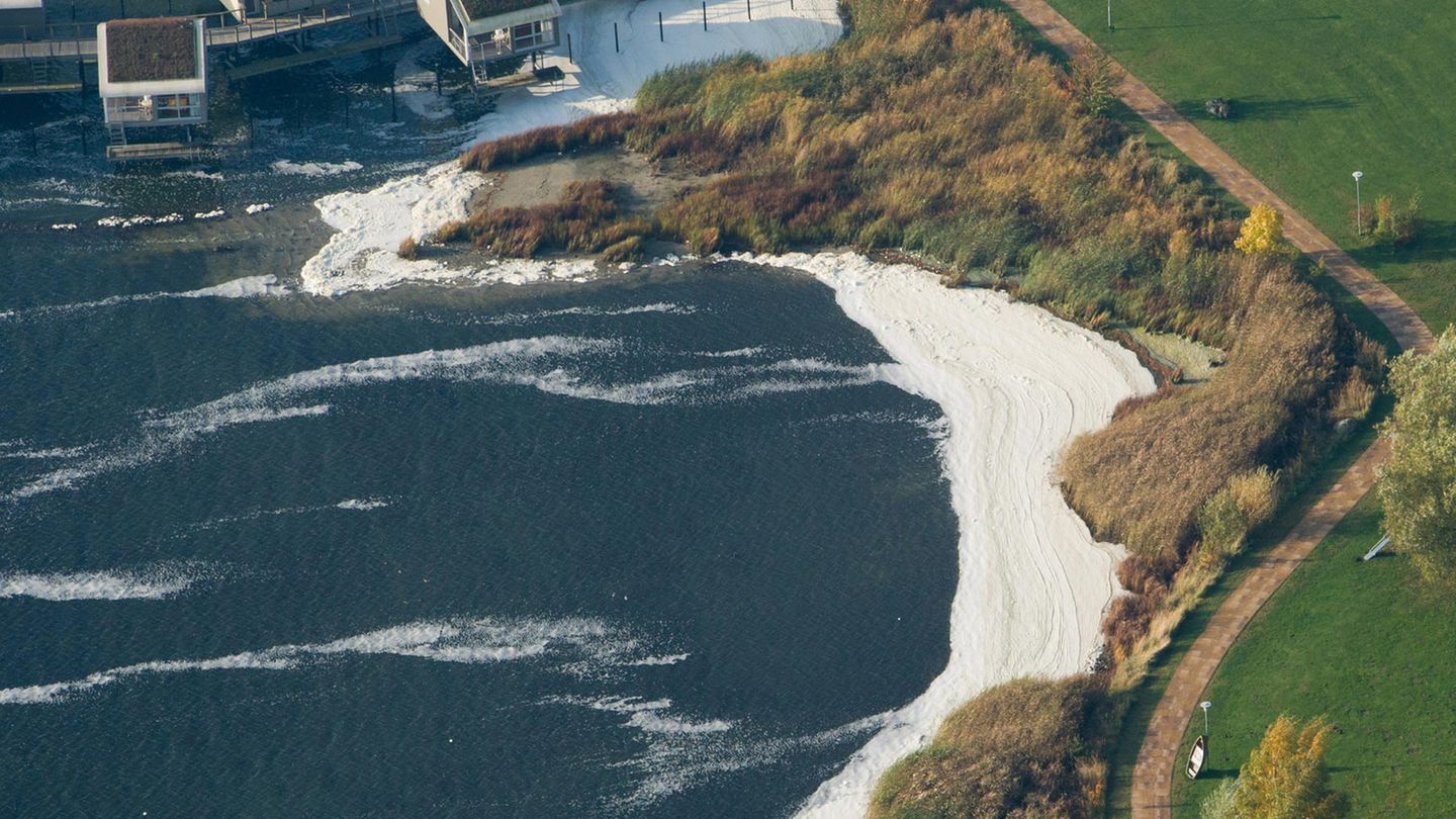 Blaualgen Ostsee Aktuell Schleswig Holstein Blaualgen in der Ostsee: Gefahr auch für deutsche Badestrände? | STERN.de