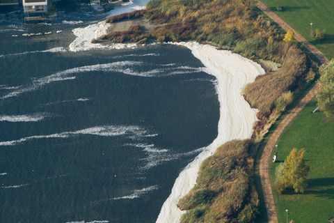 Blaualgen Ostsee