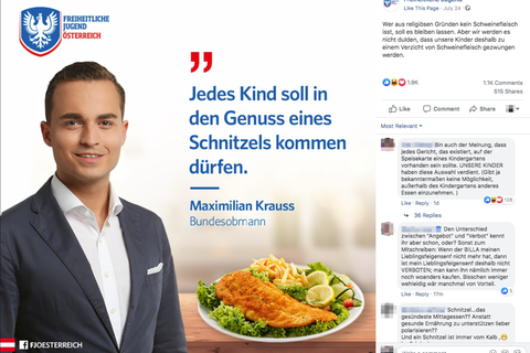 FPÖ-Post auf Facebook