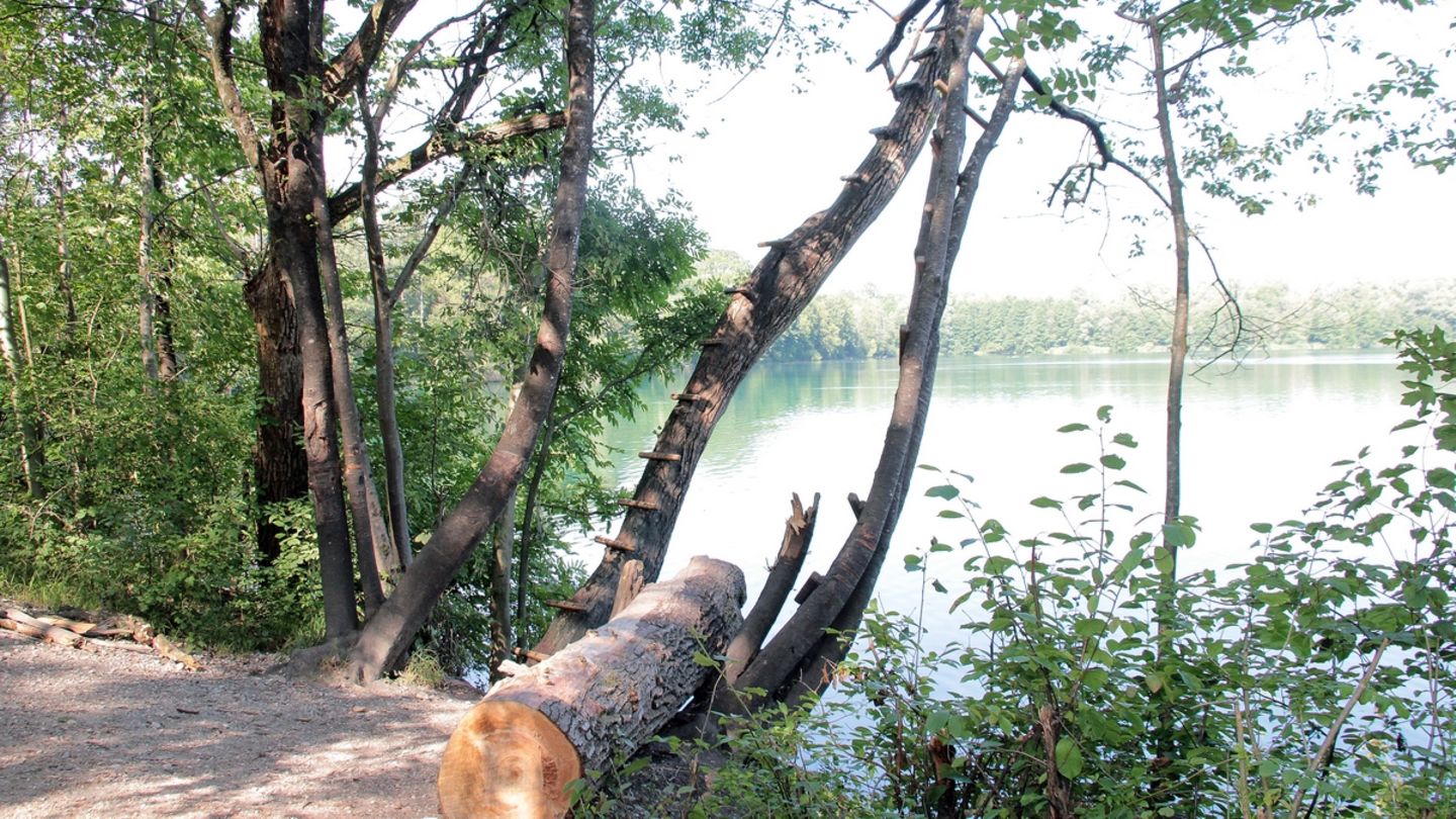 Am Ufer des Hochstraßer Sees bei Rosenheim: Beim Sprung von einem der Bäume mit Hilfe eines an einem Ast befestigten Seil hat sich ein 13-jähriger Junge den Unterarm abgerissen.