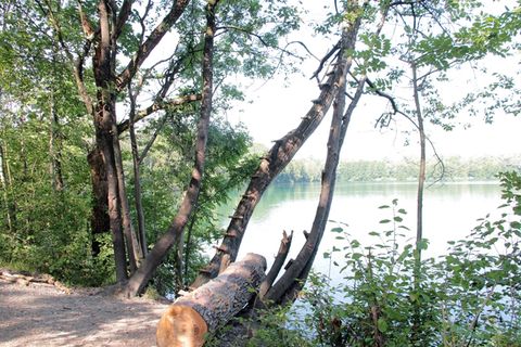 Am Ufer des Hochstraßer Sees bei Rosenheim: Beim Sprung von einem der Bäume mit Hilfe eines an einem Ast befestigten Seil hat sich ein 13-jähriger Junge den Unterarm abgerissen.