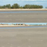 Europol bittet um Hilfe beim Kampf gegen Kindesmissbrauch