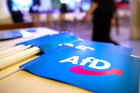 AfD-Fähnchen