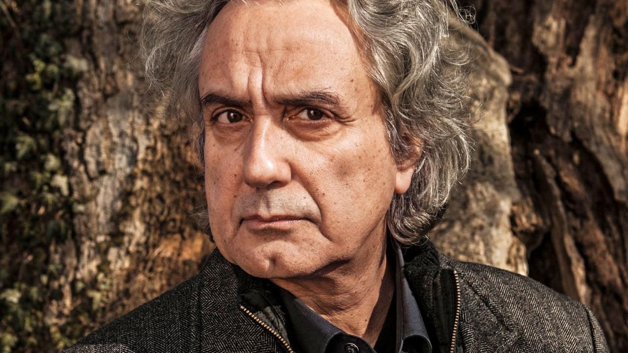 Friedrich Ani