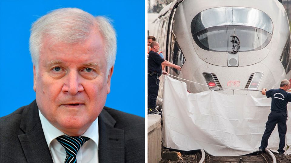 Bundesinnenminister Horst Seehofer, ICE am Frankfurter Hauptbahnhof