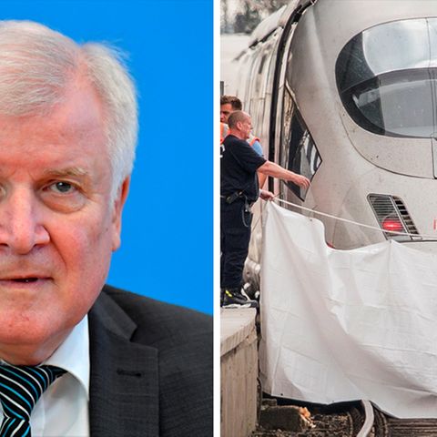 Bundesinnenminister Horst Seehofer, ICE am Frankfurter Hauptbahnhof