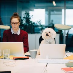 Frauen und HUnd am Schreibtisch