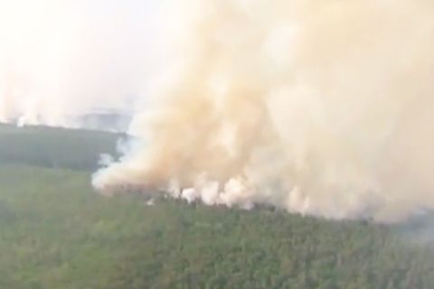 Waldbrand in Sibirien: Die Rauchwolken haben bereits die Arktis erreicht