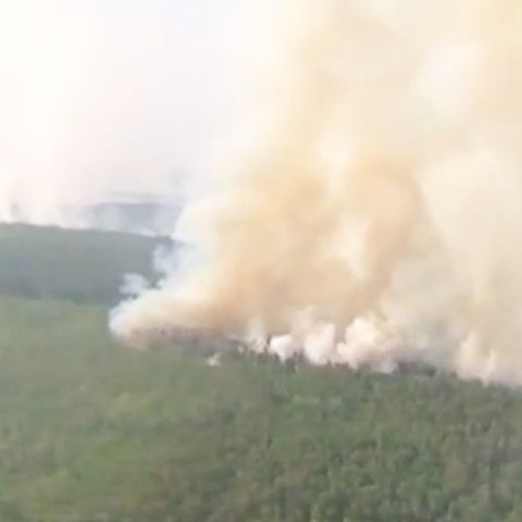 Waldbrand in Sibirien: Die Rauchwolken haben bereits die Arktis erreicht