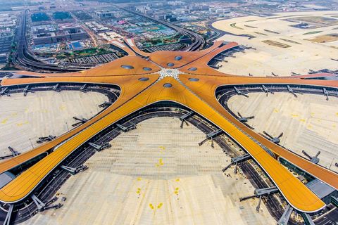Der Phöenix spreizt seine Flügel - in China verheißt das Symbol einen glücklichen Beginn.