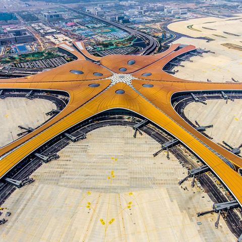 Der Phöenix spreizt seine Flügel - in China verheißt das Symbol einen glücklichen Beginn.