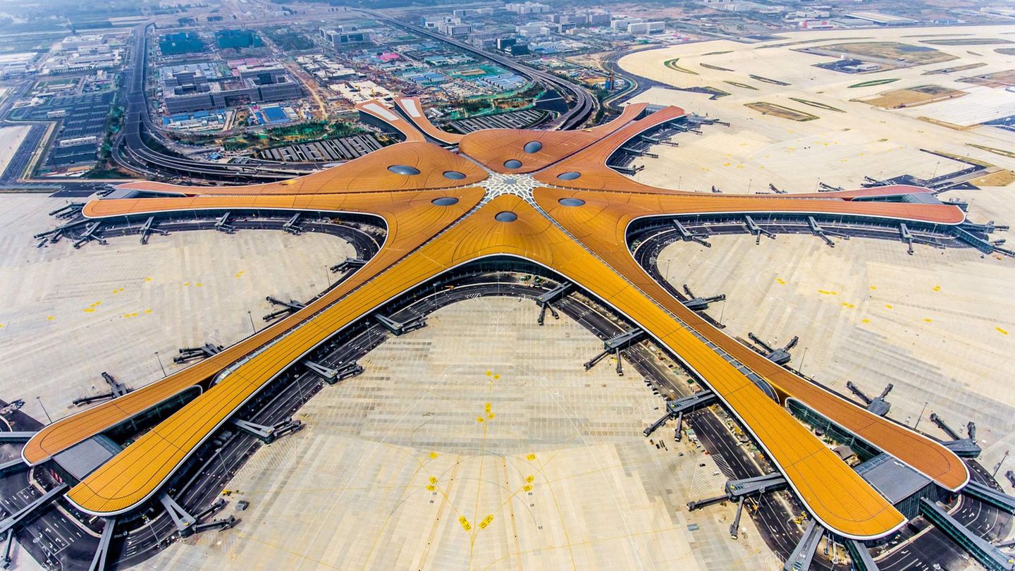 Der Phöenix spreizt seine Flügel - in China verheißt das Symbol einen glücklichen Beginn.