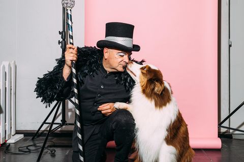 Dogdancing: Besuch bei der Deutsche Meisterschaft in Dortmund
