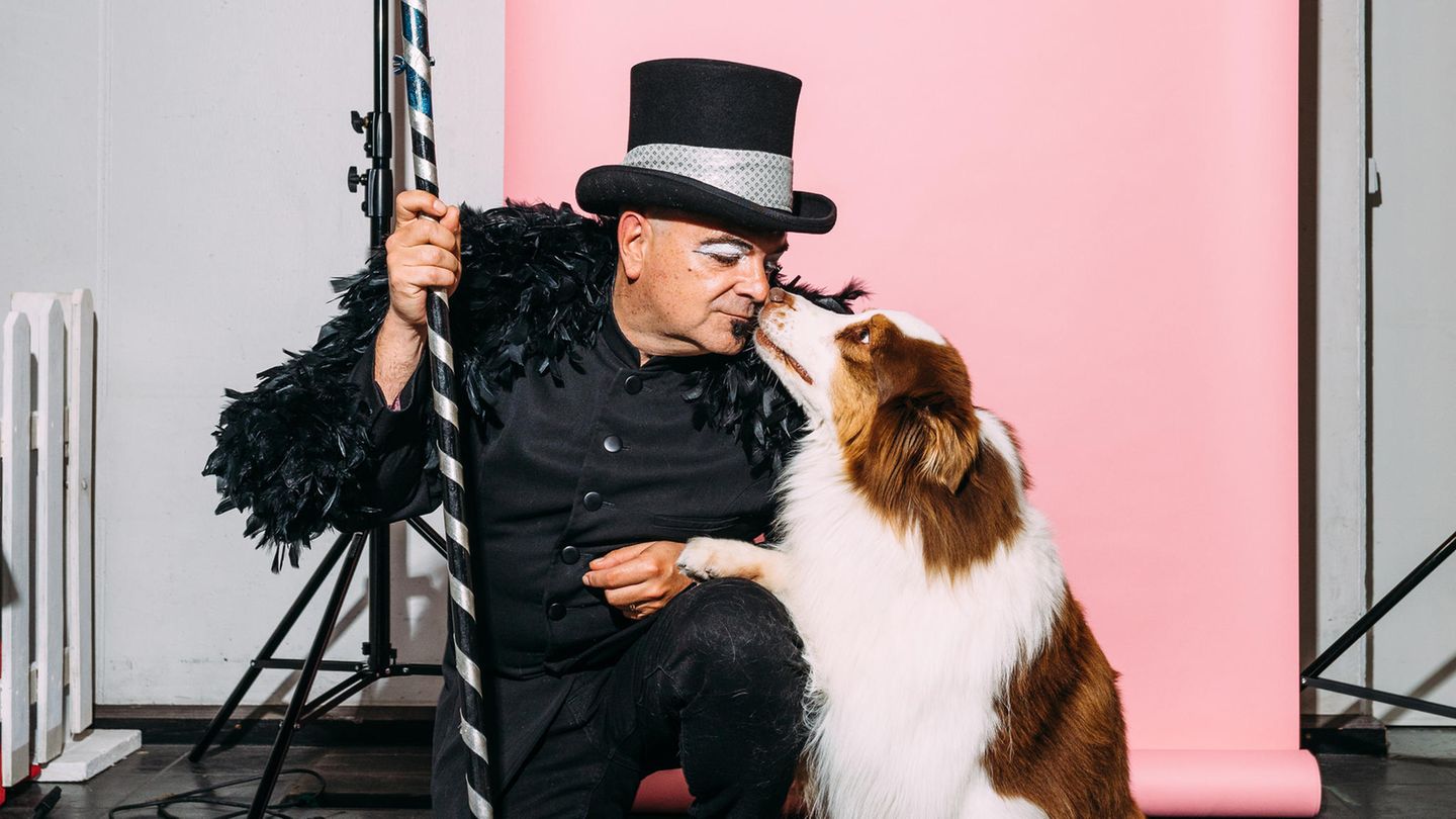 Dogdancing: Besuch bei der Deutsche Meisterschaft in Dortmund