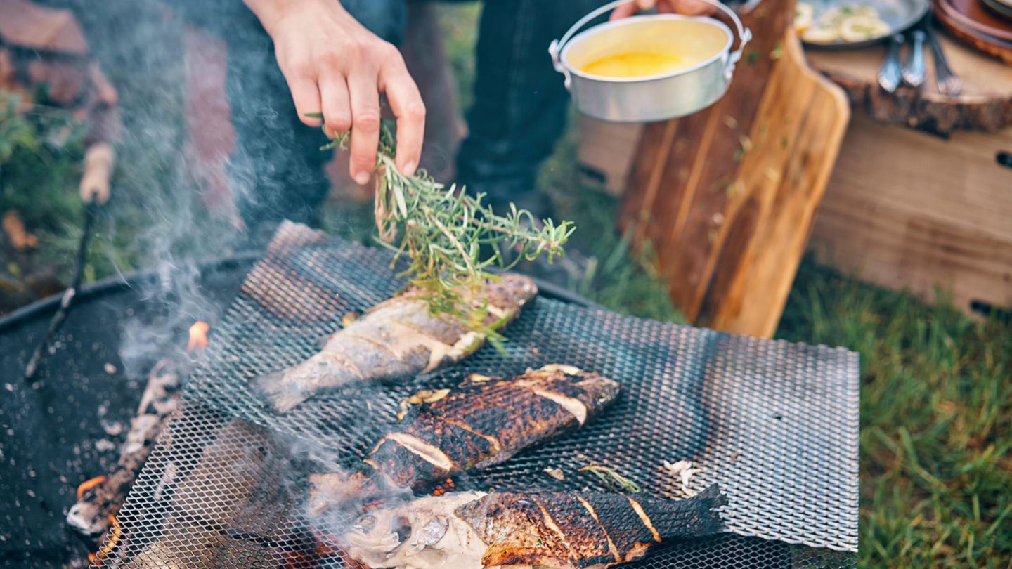 Fisch auf dem Grill hier finden Sie Grillrezepte