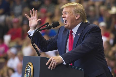 Donald Trump auf einer Wahlkampfveranstaltung in Cincinnati