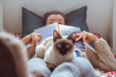Frau mit Katze auf den Knien