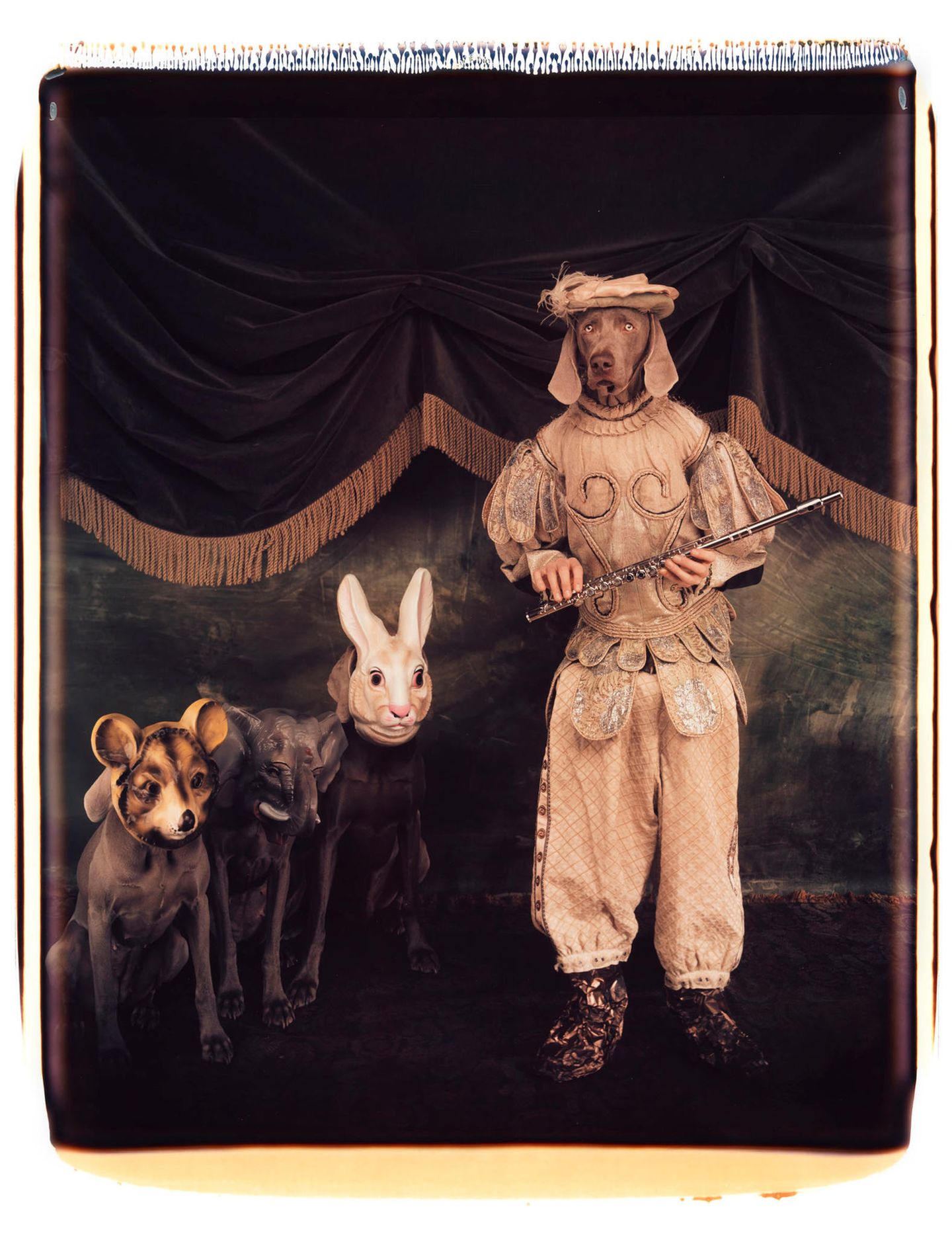 Ein Weimaraner in der Kleidung von Tamino aus der Oper "Die Zauberflöte"