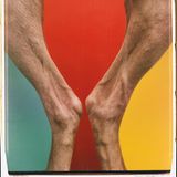 Die Hinterbeine zweier Weimaraner bilden gegeneinandergestellt die Form eines Weinglases