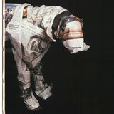 Ein Hund, eingewickelt in Zeitungspapier