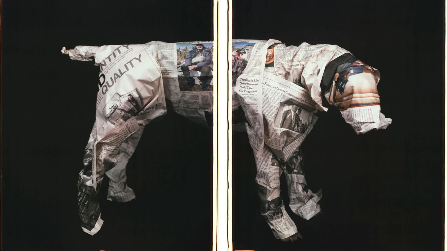 Ein Hund, eingewickelt in Zeitungspapier