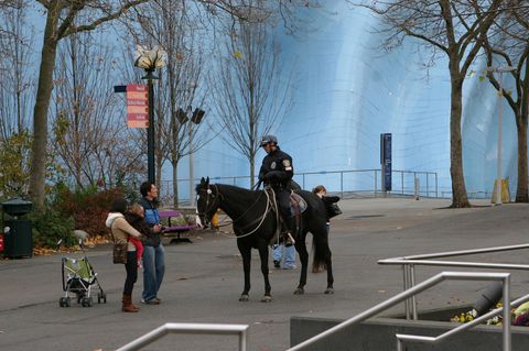 Berittene Polizei in den USA (Symbolbild)