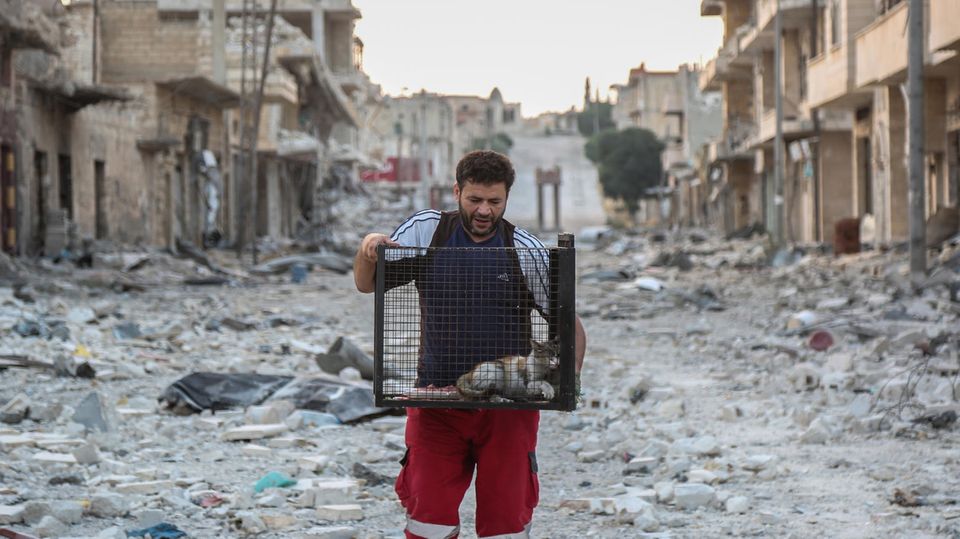 Mohammed Alaa , auch bekannt als "der Katzenmann von Aleppo", trägt einen Käfig mit einer Katze