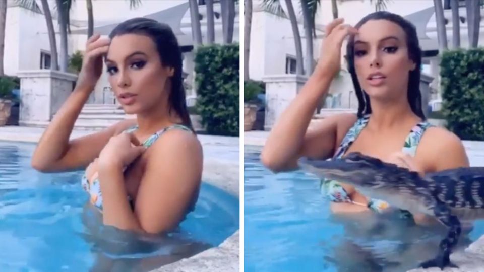 Lele Pons sitzt entspannt im Pool, doch plötzlich springt ein Alligator hinein Lele Pons sitzt entspannt im Pool, doch plötzlich springt ein Alligator hinein