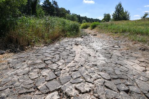 Klima: ausgetrocknetes Flussbett der Schwarzen Elster in Brandenburg