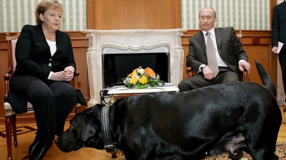 Angela Merkel und Wladimir Putin Angela Merkel und Wladimir Putin