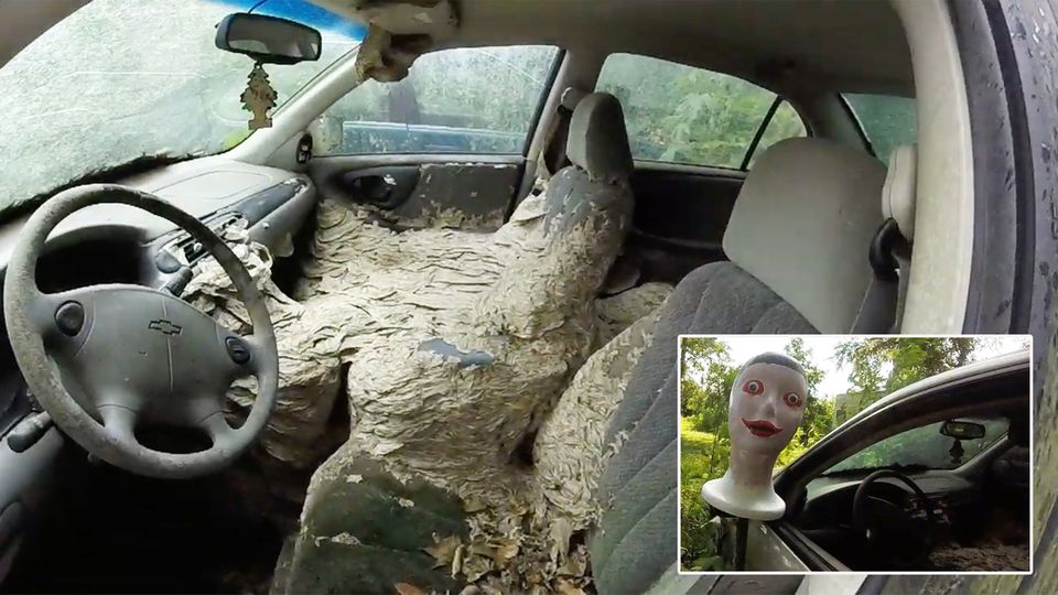 Kammerjäger im Einsatz: Dieses Auto ist ein einziges Wespennest