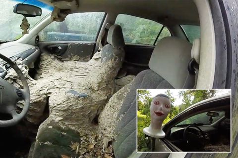 Kammerjäger im Einsatz: Dieses Auto ist ein einziges Wespennest