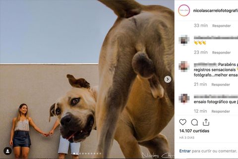 Statt des Brautpaares ist ein riesengroßer Hundehintern im Bild