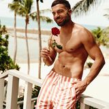 Bachelor in Paradise