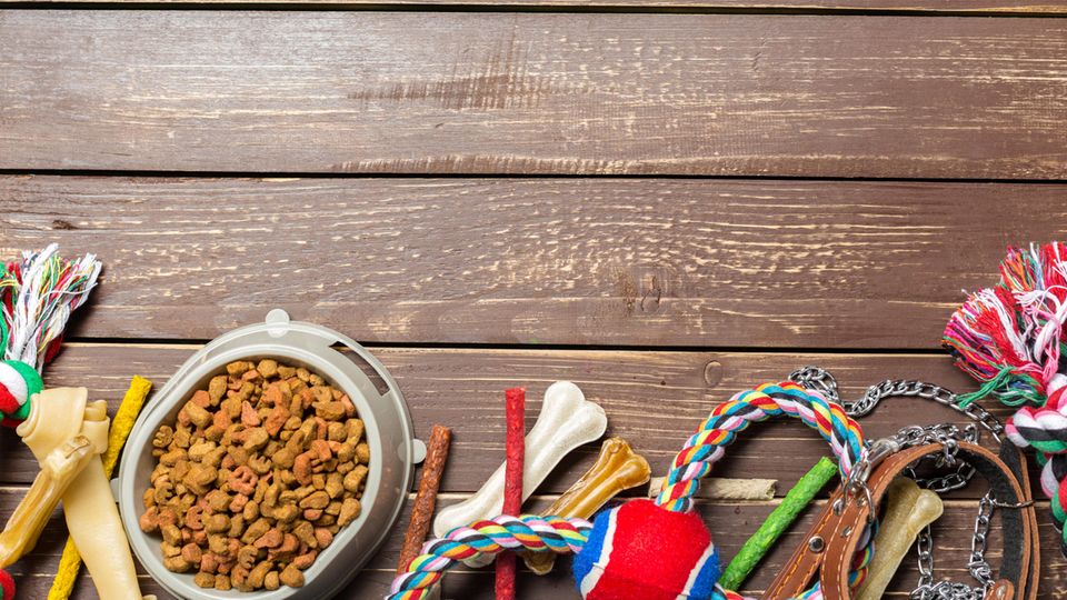 Haustierzubehör Für Hunde gibt es allerhand Zubehör