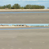 Europol bittet um Hilfe beim Kampf gegen Kindesmissbrauch